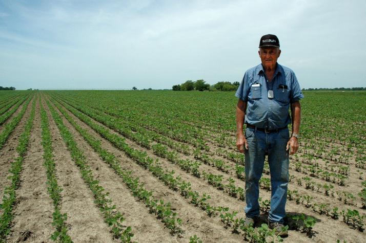 At 81, Russel Winter still likes to try new farm technology. He recently installed a subsurface drip irrigation system on an irregularly shaped plot of soybean. Photo by Linda Geist.