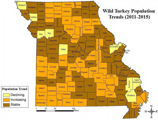 Wild turkey population trends in Missouri, 2011–2015