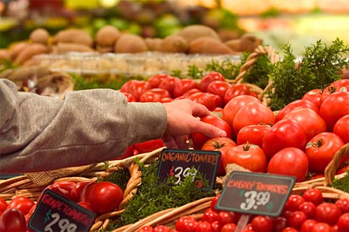 Organic and conventionally grown tomato varieties in grocery store