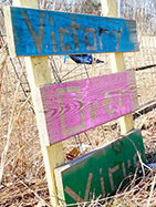 Victory Over Virus garden sign