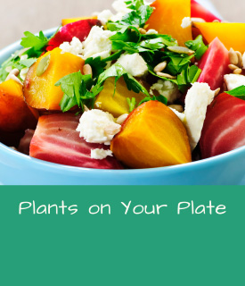Plants on Your Plate