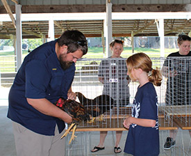 Girl showing her chicken to a judge