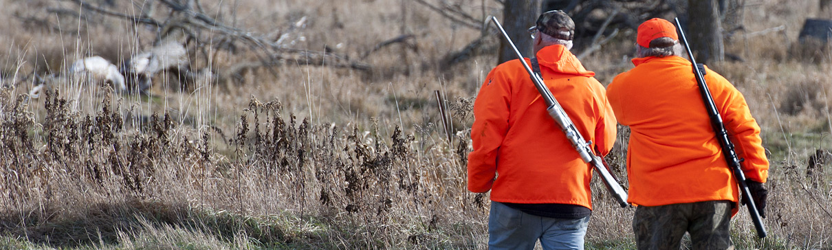 Hunters in bright safety jackets