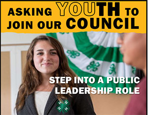 Flyer seeking youth members for St. Louis County Extension Council