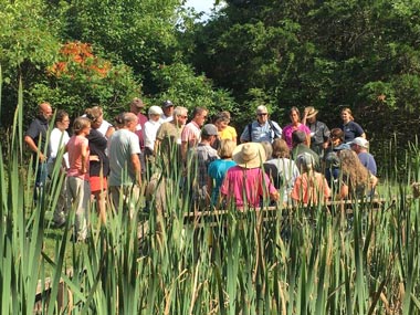 A group of people outdoors on a sunny day surrounding a trainer and viewed through tall grass alongside a pond.