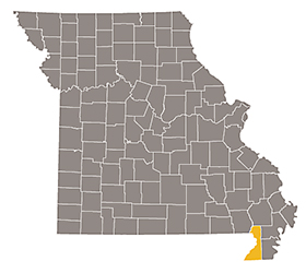 Map of Missouri with Dunklin county highlighted.