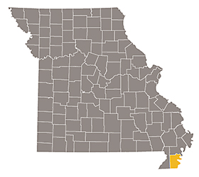 Map of Missouri with Pemiscot county highlighted.