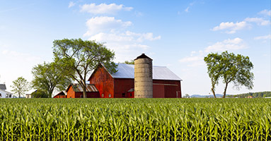 Field and barn with silo