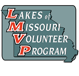 LMVP logo