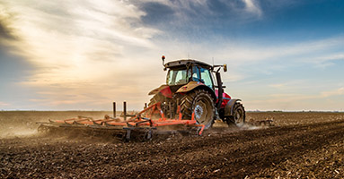 Tractor with seedbed cultivator