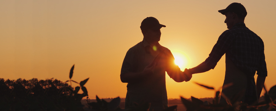 Farmers shaking hands silhouetted against sunset sky