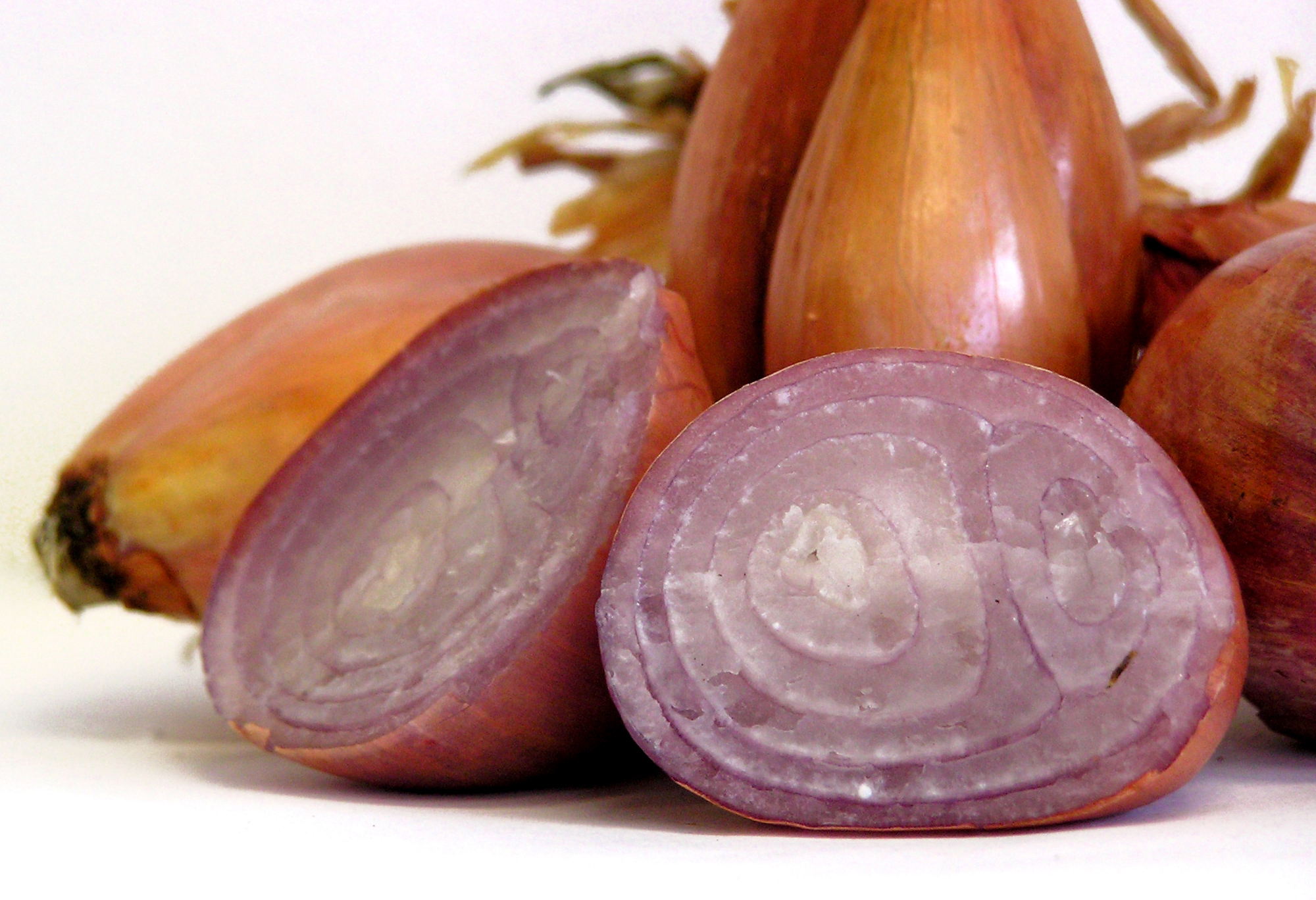 Shallots - part of the aggregate group of onions