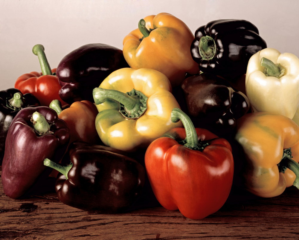 Open Sweet pepper varieties ripen to a rainbow of different colors. National Garden Bureau Inc.