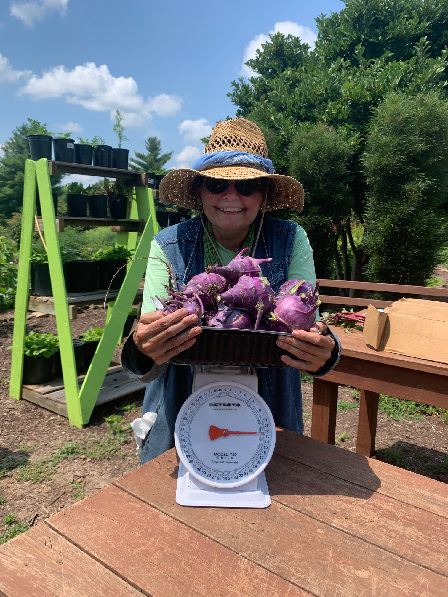 Maryfrances DiGirolamo with 12 pounds of kohlrabi harvested this past July. Photo provided by Kelly McGowan.
