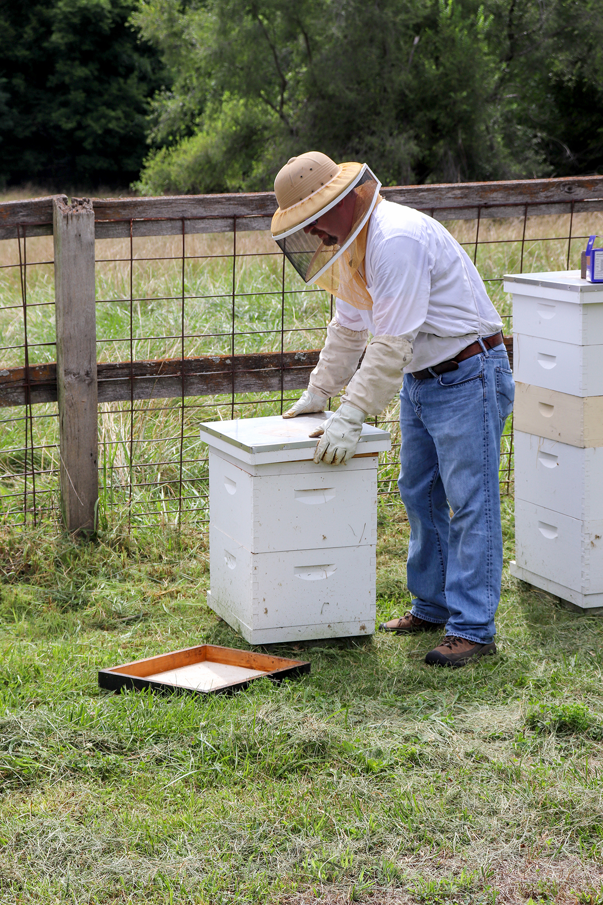 MU Extension agronomist and beekeeper Travis Harper teaches veterans and their families how to do beekeeping. MU’s Heroes to Hives program is the first state chapter modeled after a program offered through Michigan State University and partners. Photo by 