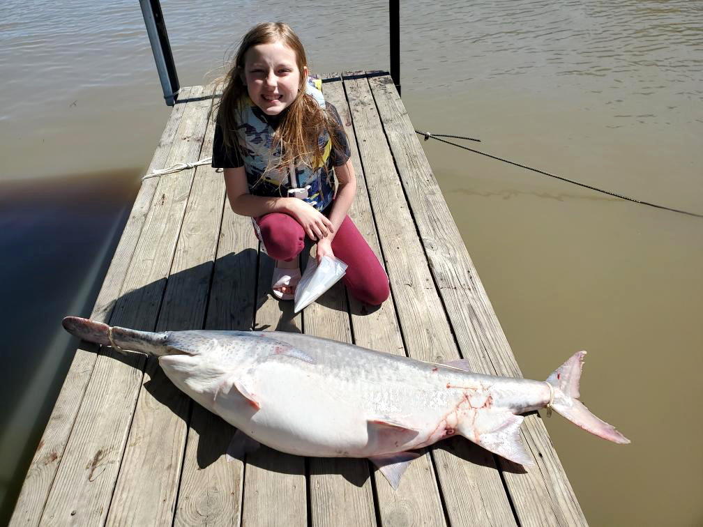 Open Lewis County 4-H'er Claire Wiskirchen and her 44-inch paddlefish, the Missouri state aquatic animal.