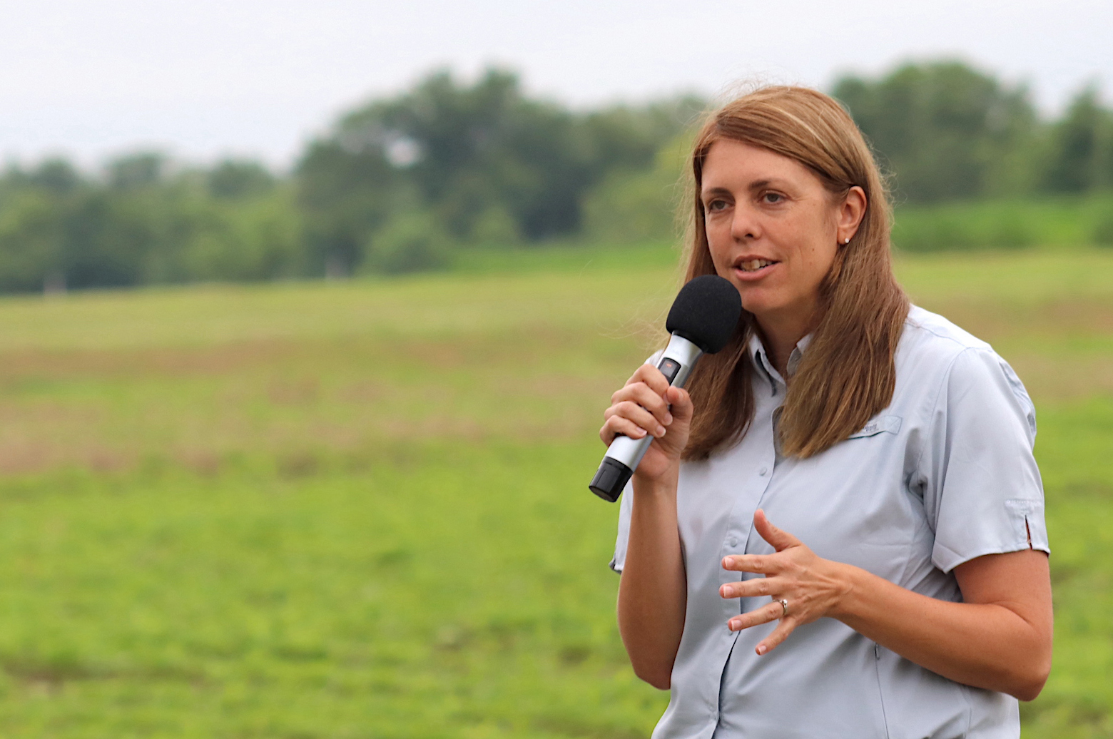Open During a recent field day, MU Extension weed specialist Mandy Bish explains how using cereal rye as a cover crop may reduce waterhemp without yield loss in soybean. Photo by Linda Geist.