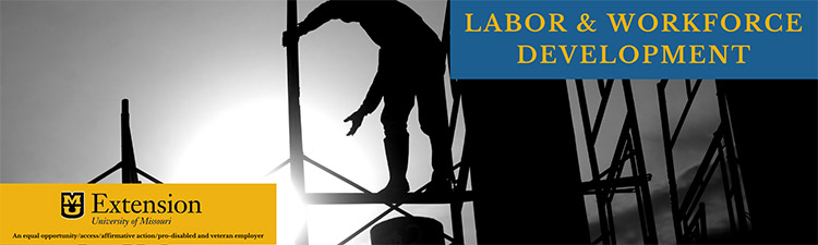 Person on scaffolding; Labor and Workforce Developmentbanner