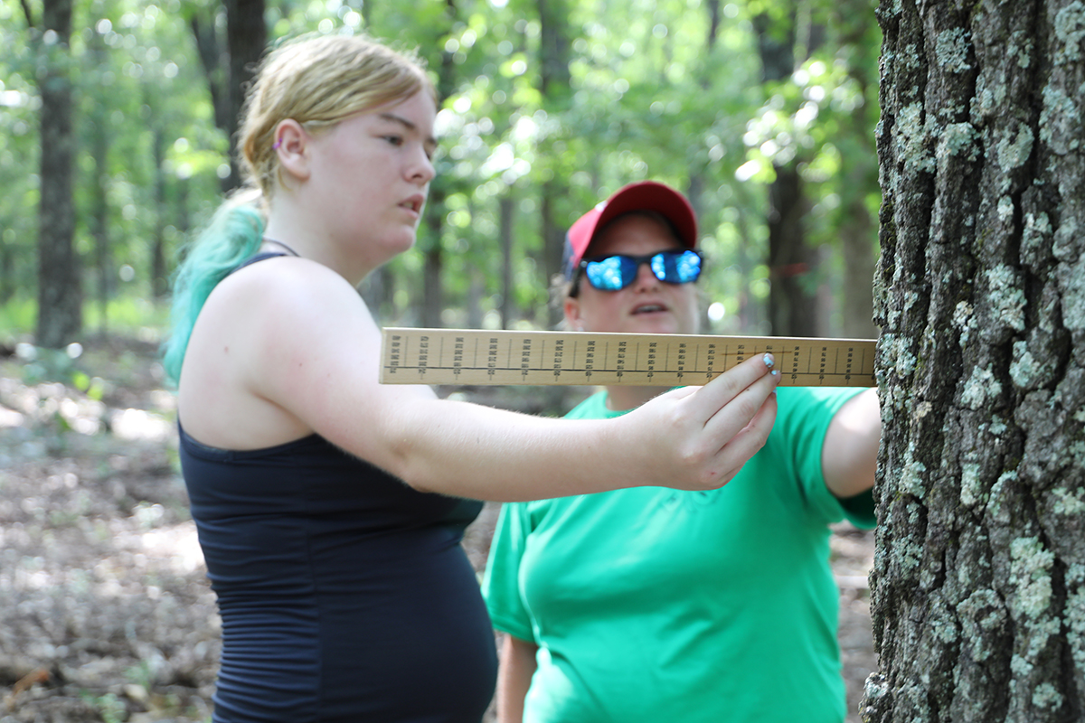 Open MU Extension natural resources field specialist Sarah Havens, right, helps Franklin County 4-H'er Annabelle Edmonds measure a tree for timber at Wurdack Farm.