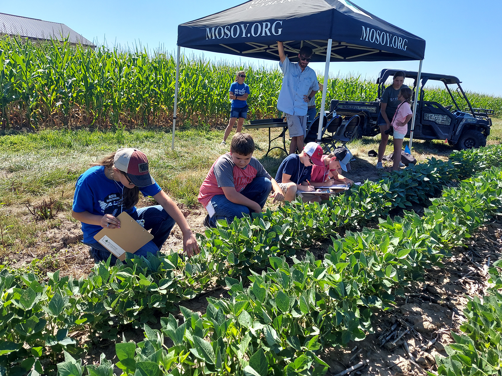 Youths determine the growth stage in soybean plants at the Missouri 4-H Crop Scouting Day, July 19 in Columbia.