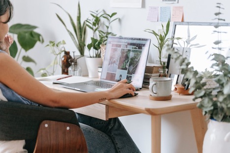 Open Plants create an attractive workspace in an otherwise Spartan dorm room. Stock photo from Pexels.