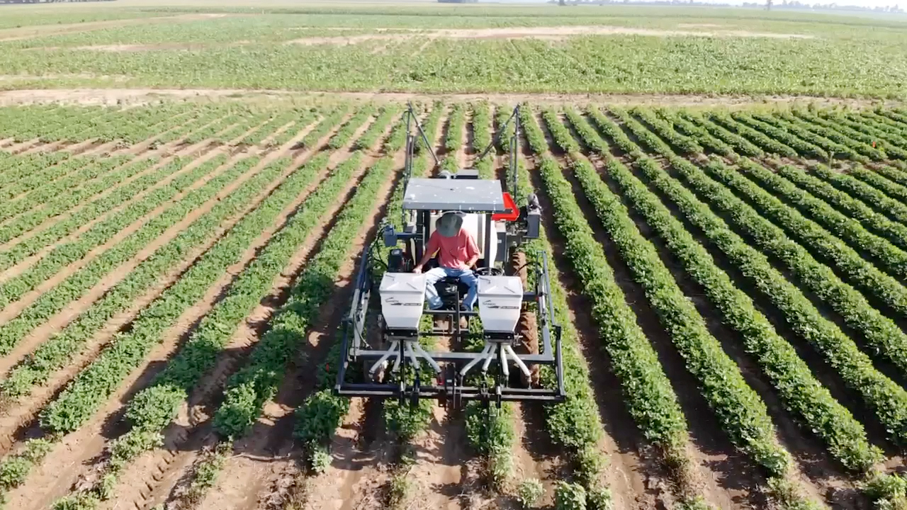 Peanut harvest is underway in Missouri's Bootheel region. Aerial drone video courtesy of Justin Calhoun.