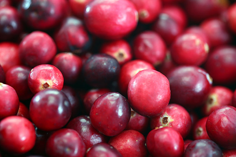 Open Cranberries. Photo by Cjboffoli, CC BY 3.0 (https://creativecommons.org/licenses/by/3.0), via Wikimedia Commons. (https://commons.wikimedia.org/wiki/File:Cranberries20101210.jpg)