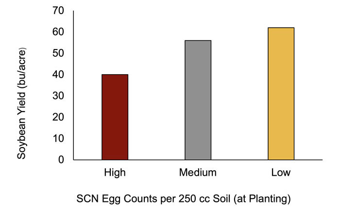 Soybean yield (bu/acre) High - 40, Medium - 55, Low - 65