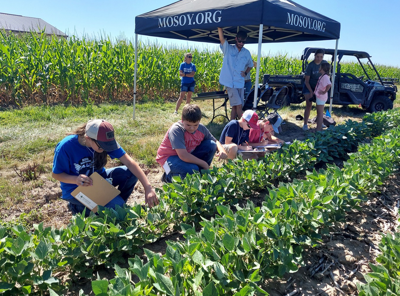 Youths inspect soybean plants during the 2022 Missouri 4-H Crop Scouting Day. File photo.