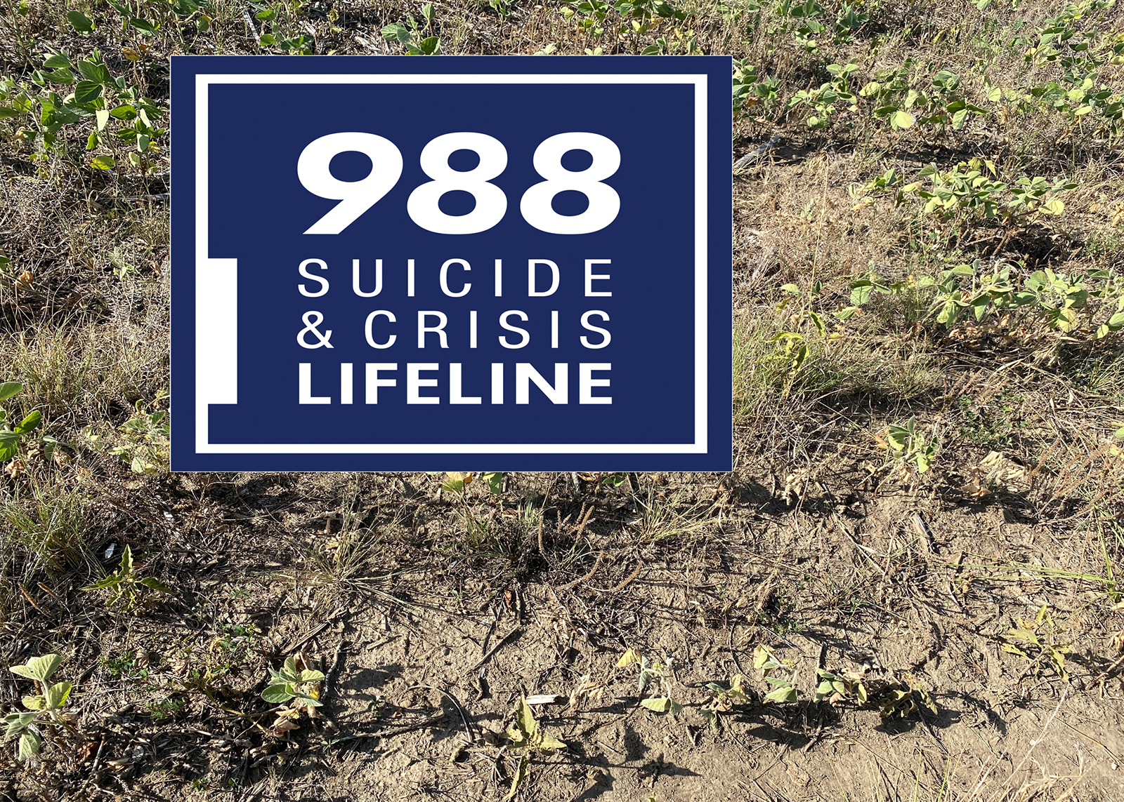 Open Drought affects more than plants and livestock. September – National Suicide Prevention Month – is a painful reminder that life is tough in rural America, especially after major events such as drought and flood. Soybean photo by Valerie Tate, University o