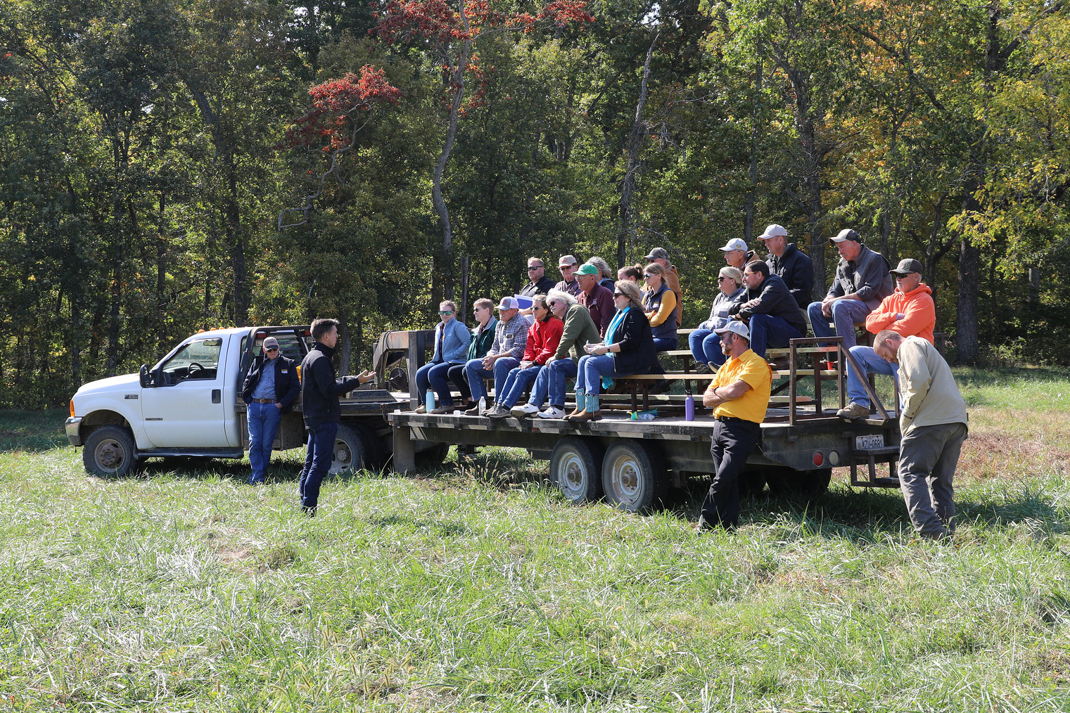 MU Extension specialists will discuss alternative forages for drought during the annual Wurdack Center producer field day on Oct. 6. File photo by Julie Harker.