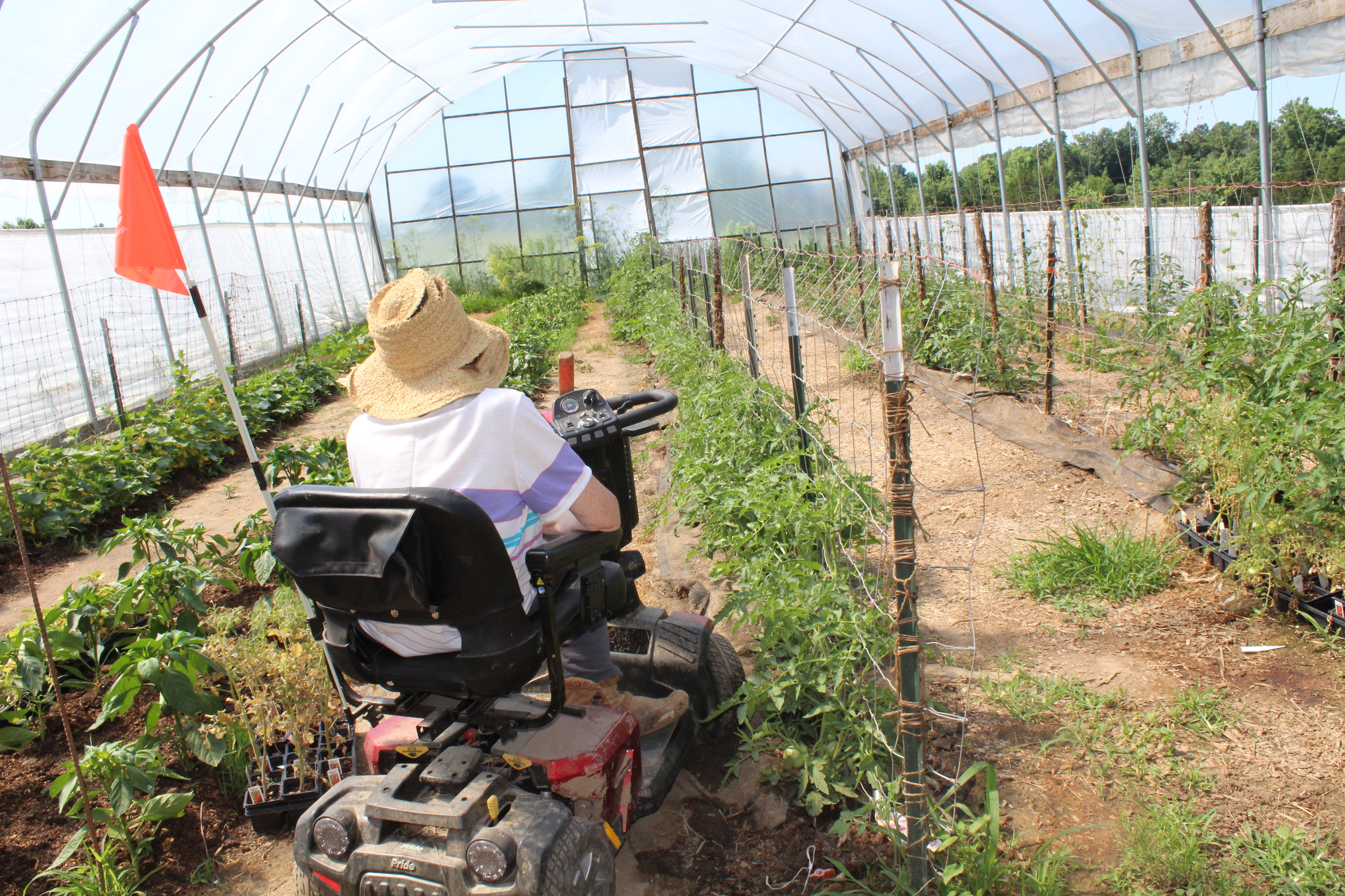 AgrAbility looks for ways to make travel through Kim DaWaulter's greenhouse and around the farm easier for her.