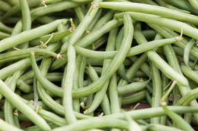 Garden green beans