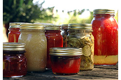 Homemade preserves sitting on a rustic table outside. Pickles, tomatoes, applesauce, etc.