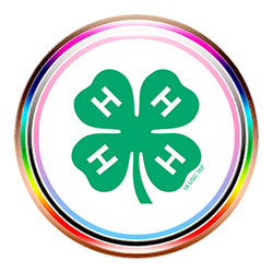 4-H Diversity logo