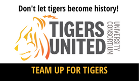 Don't let our tigers be history. Team up for Tigers. Tigers United University Consortium