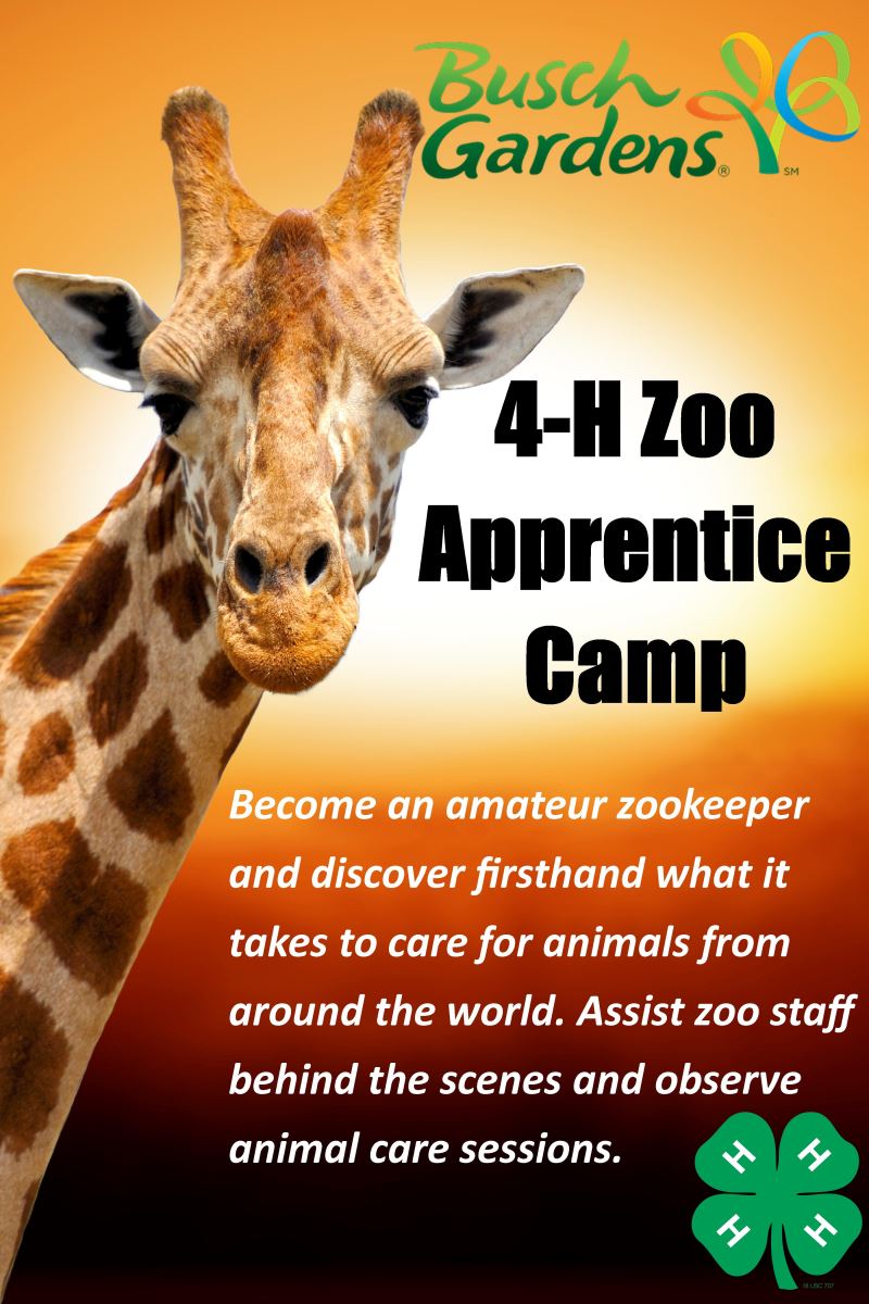 4-H Zoo Apprenticeship Camp banner