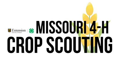 Missouri 4-H Crop Scouting logo