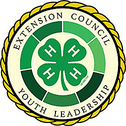 Extension Council Youth Leadership logo