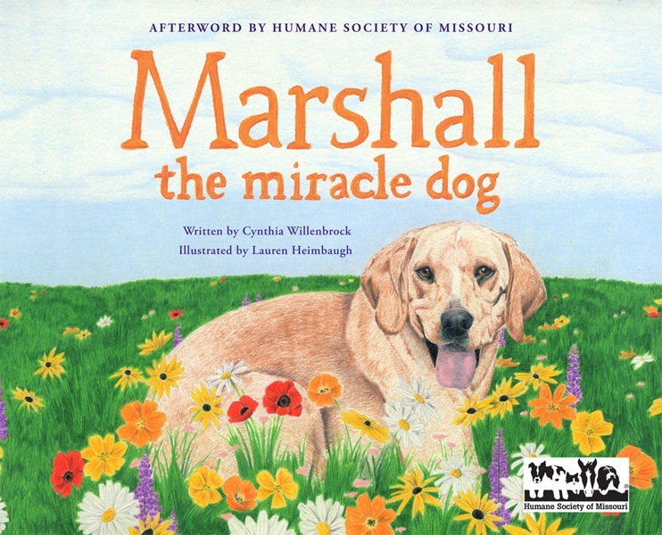 Marshall the Miracle Dog book cover