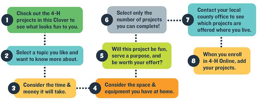 4-H project selection process graphic - see text below