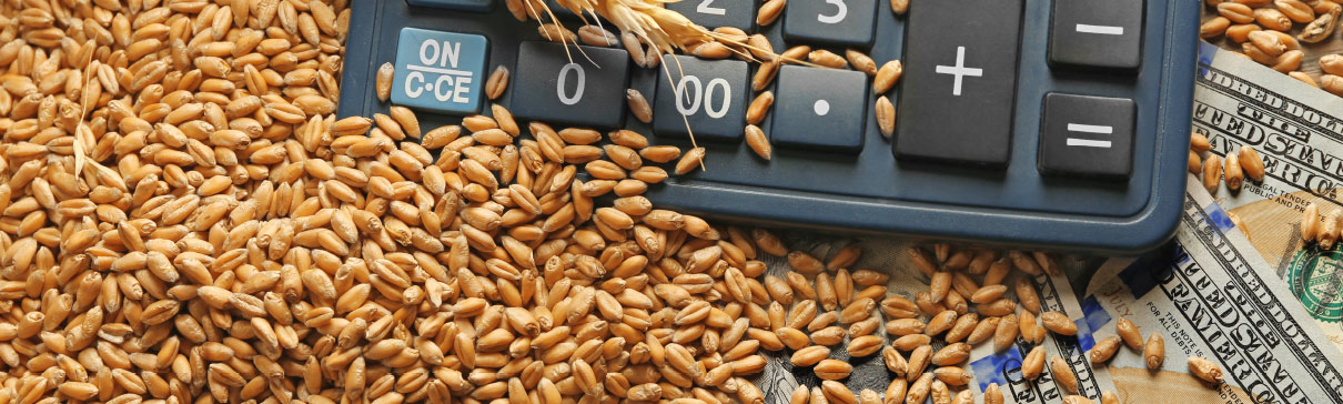calculator in grain
