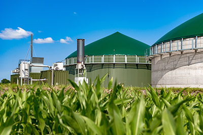 Biogas plant behind maize field
