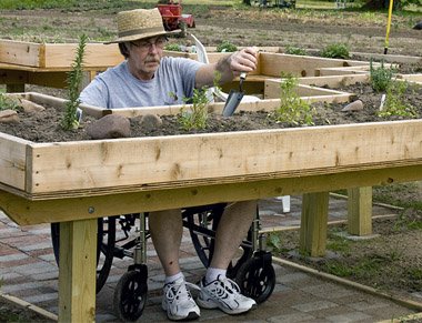 wheelchair gardener