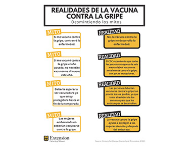 Graphic for Realidades de la vacuna contra la gripe (Flu vaccine myths)