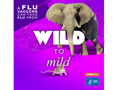 CDC infographic - A Flu Vaccine can take flu from WILD to mild