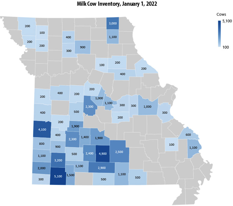 Map showing milk cow inventory by Missouri county as of Jan 1, 2022. Data source: USDA National Agricultural Statistics Service.