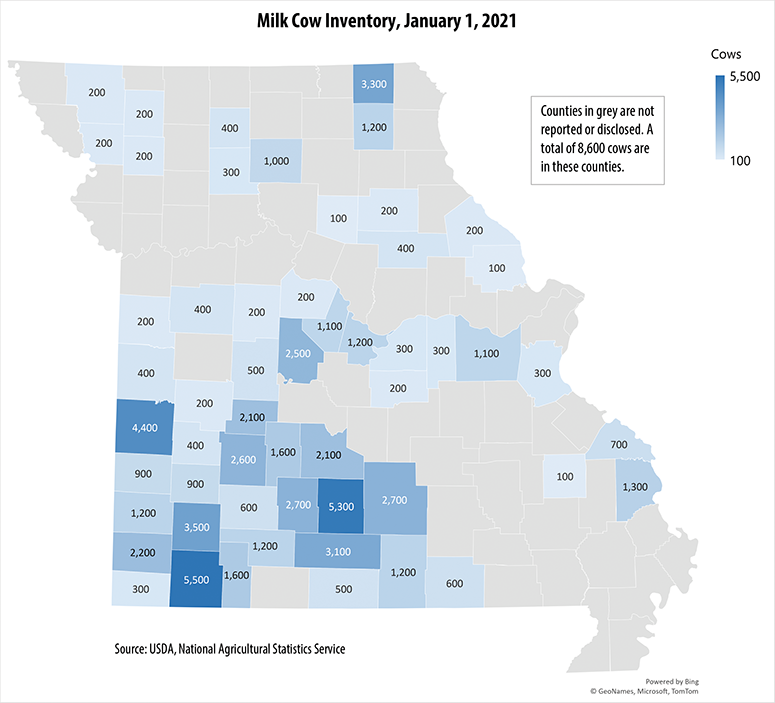Map showing milk cow inventory by Missouri county as of Jan 1, 2021. Data source: USDA National Agricultural Statistics Service.