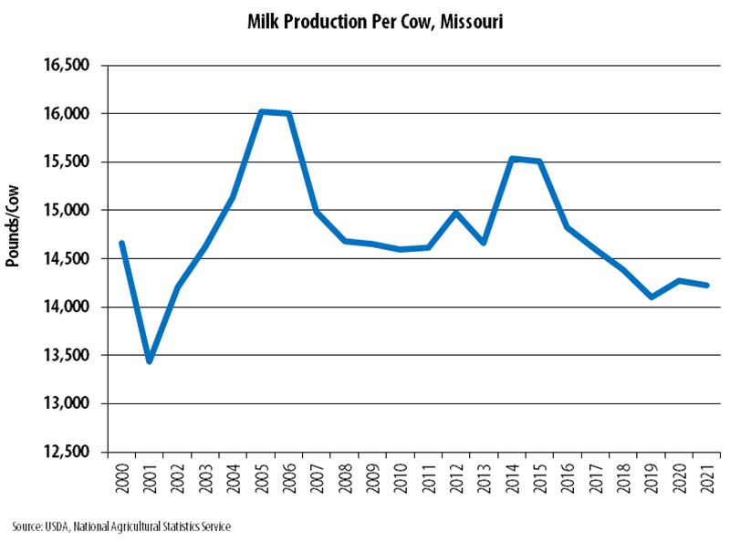 Line graph showing milk production per cow for Missouri from 2000 to 2021. Production per cow ranged from 13,441 to 16,026 pounds over the time period. Missouri's milk production per cow tends to be low when compared to other U.S. states. An average U.S. dairy cow produced 23,948 pounds in 2021 as compared to Missouri's average of 14,225 pounds. A common explanation for this deviation is the state's reliance upon pasture-based dairy systems rather than confinement systems. Data source: USDA National Agricultural Statistics Service.