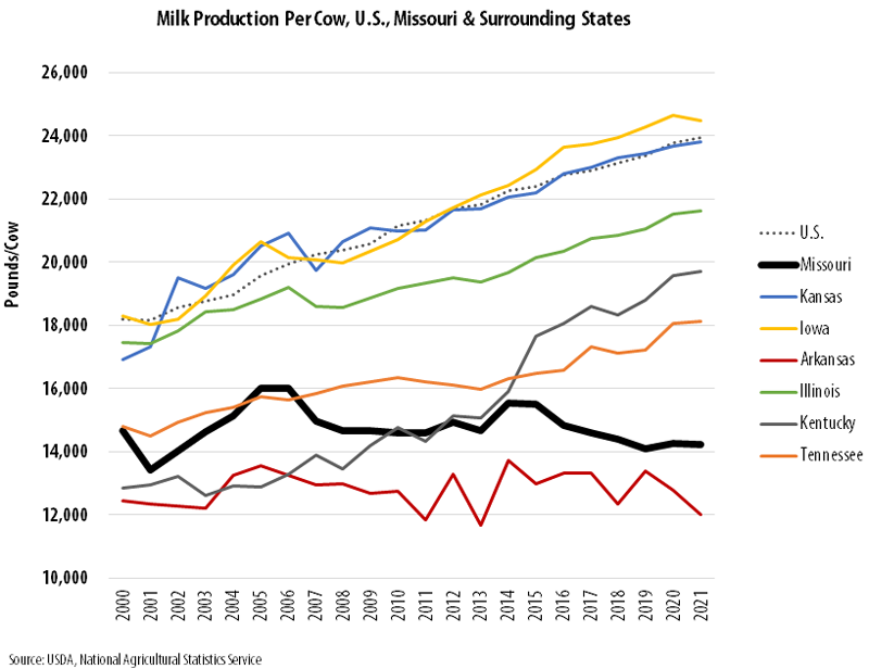 Line graph showing the milk production (pounds) per cow in Missouri, Kansas, Iowa, Arkansas, Illinois, Kentucky and Tennessee from 2000 to 2021. Missouri's milk production per cow tends to be low when compared to the U.S. states. The U.S. average, Iowa, Kansas and Illinois are the highest among selected states and have steadily grown over time. Kentucky has grown considerably since 2013 and sits in the middle range along with Tennessee. Arkansas has mostly remained the lowest over the time period, below Missouri's average. Data source: USDA National Agricultural Statistics Service.